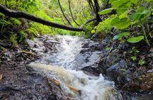 Waterfalls of Gran Canaria hiking tour with pickup and lunch