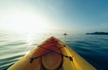 Quick Kayak Tour for Small Groups in Venice