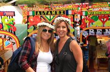 Shared Tour to Xochimilco, Coyoacán and UNAM Murals
