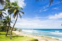 Barbados Full-Day Tour with Wildlife Reserve and St. Nicholas Abbey