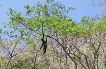Sumidero Canyon guided tour from San Cristobal de las Casas
