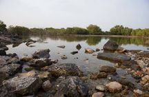 Mangrove 1-Hour Private Kayaking in Al Thakira Reserve