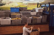 Fonseca Cellar Tour and The Wine Experience Pack