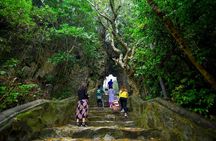 Half-Day Tour of Da Nang City