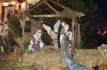 Dyker Heights Christmas Wonderland tour