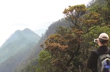 Bach Ma National Park Trekking Tour