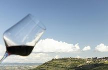 Classic Wine Tasting in Montalcino