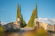Classic Wine Tasting in Montalcino