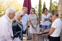 Guided Wine Tour with Tasting in Montalcino