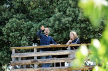 Guided Wine Tour with Tasting in Montalcino