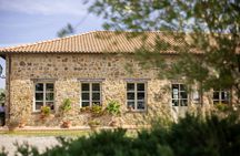 Gourmet Wine and Food Tasting in Montalcino