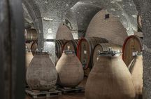 Guided Winery Tour and Gourmet Tasting in Montalcino