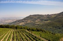 Picnic With a Bottle of Wine in Montalcino With Optional Wine Tour