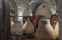 Backstage Brunello and Gourmet Wine-Food Tasting in Montalcino
