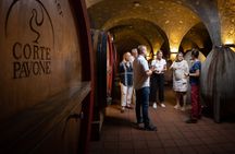 Backstage Brunello and Gourmet Wine-Food Tasting in Montalcino