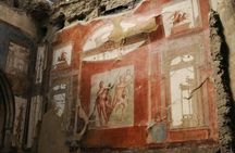 Herculaneum shared tour from Naples