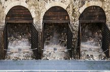 Herculaneum shared tour from Naples