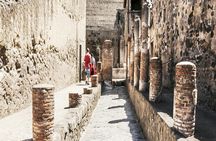 Herculaneum shared tour from Naples
