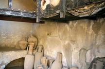 Herculaneum shared tour from Naples