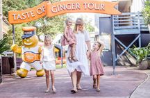 Ginger Factory and Nutworks with Return Bus Transfer