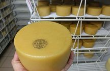 Idiazabal Basque cheese tour from San Sebastian