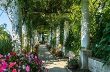 Capri Island shared tour with ferry from Naples