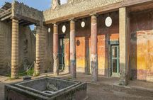 Private transportation to Pompeii, Herculaneum, and Mt. Vesuvius