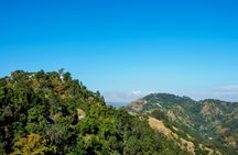 Half-Day Blue Mountain Sightseeing Private Hiking Tour