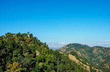Authentic Blue Mountain Coffee Guided Tour