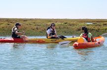 Ria Formosa guided kayak tour from Faro