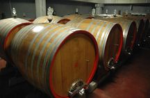 Primitivo & Negroamaro Wine Tour from Lecce with Typical Lunch