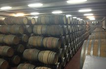 Primitivo & Negroamaro Wine Tour from Lecce with Typical Lunch