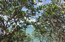 Full-Day Vung Tau Beach City Guided Tour from Ho Chi Minh City