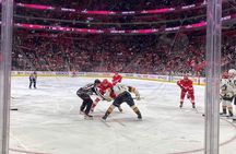 Detroit Red Wings Ice Hockey Game at Little Caesars Arena