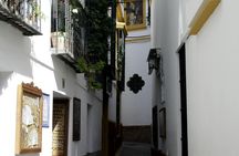 Seville Jewish heritage private tour