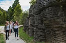 Triple cave experience - Waitomo Glowworm,  Ruakuri and Aranui Cave