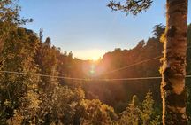 The ultimate canopy experience