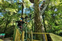 The ultimate canopy experience