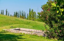 Polycentric and Royal Graves of Aigai Museum tickets with audio tour