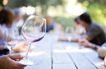 Wellness path and wine tasting on Etna