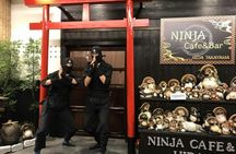 Ninja Experience Sasuke Course at Ninja Cafe Takayama