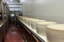 Full Day Parmiggiano and Balsamic Vinegar Tour with Lunch and Transfer