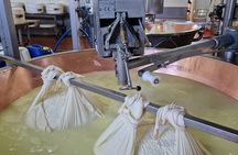 Full Day Parmiggiano and Balsamic Vinegar Tour with Lunch and Transfer