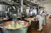 Parmiggiano, Wine and Balsamic Full Day Tour with Lunch from Bologna