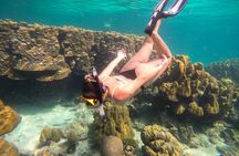 Koh Haa and Koh Rok snorkel tour by speedboat from Koh Lanta Yai