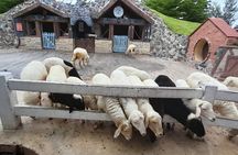 Hua Hin Full-Day Tour from Bangkok