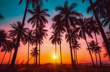 Palm Springs City and Desert App-Guided Driving Tour