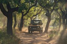 Full day safari private tour in Algarve