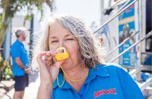 Aquaduck Sunshine Coast 1 Hour City Tour and River Cruise