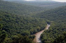 Private Tour to Jerash and Ajloun from Dead Sea